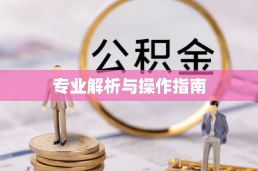 燕郊专业解析与操作指南